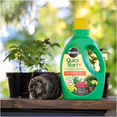 thumbnail image 2 of Miracle-Gro Solution de Plantation et de Repiquage Quick Start+, 1,4 L, 2 of 2