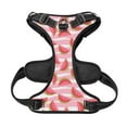 thumbnail image 5 of Lsque Sweet Watermelon Dog Harness, No-Pull Pet Harness with 2 Leash Clips, Adjustable Soft Padded Dog Vest with Easy Control Handle for Large Dogs-X-Large, 5 of 9