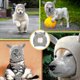 thumbnail image 4 of 2 piezas Gorros de punto LANNMXG Orejas silenciosas para mascotas Orejeras cálidas para perros Protección auditiva, 4 of 5
