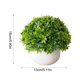 thumbnail image 3 of Adorno de Planta Verde Artificial, Mini Bonsái en Maceta para Sala de Estar, Oficina, Decoración de Escritorio, 15x13x13 cm, 3 of 6