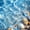 Light Blue, variant on Manfei Kawaii Starfish 7-Piece Twin Bedding,Cute Sea Plant Bedding Comforter Set,White Blue,Light Gray Reversible