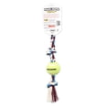 thumbnail image 3 of Juguete de Cuerda Mammoth Flossy Chews Multicolor con Pelota de Tenis para Perro Mediano, 3 of 5