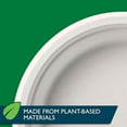 thumbnail image 4 of Hefty ECOSAVE Compostable Paper Plates, 8 3/4 inch, 22 Count, 4 of 5