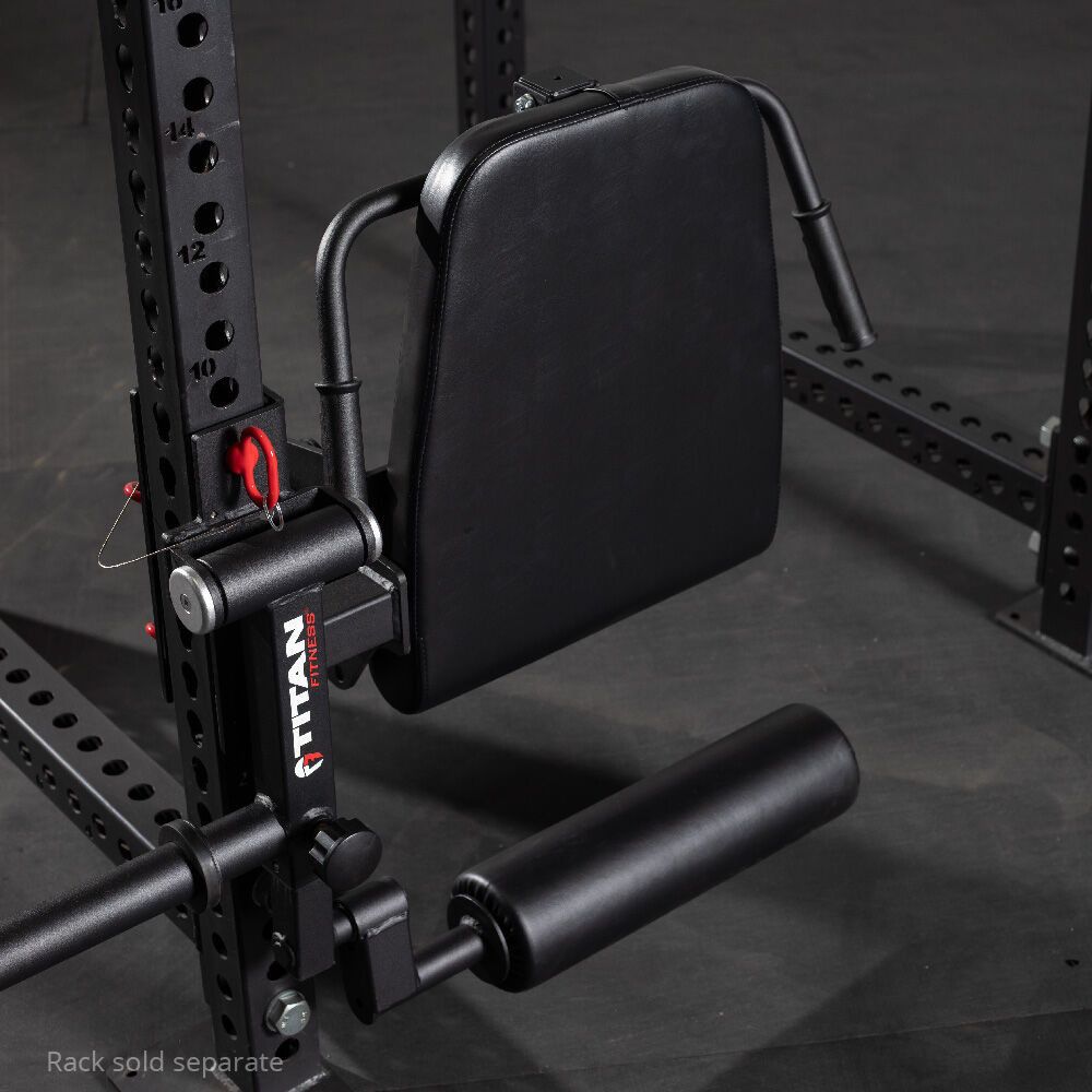 Titan Fitness TITAN Series Plate-Loaded Leg Curl and Extension Rack ...