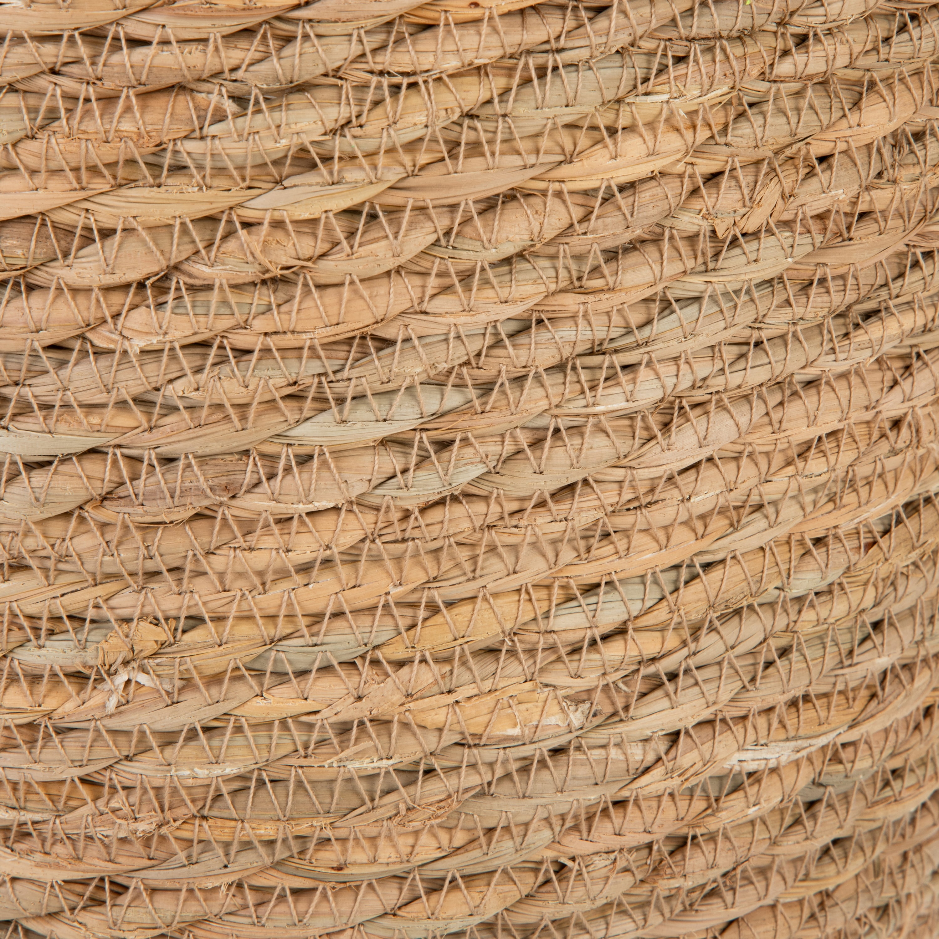 Way to Celebrate RUSH ROPE BASKET