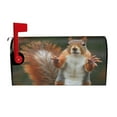 thumbnail image 2 of PHELIKA Squirrel Funny Animal Meets 01 Magnetic Mailbox Covers Post Letter Box Cover Standard Size 21"H x 18"W, 2 of 8