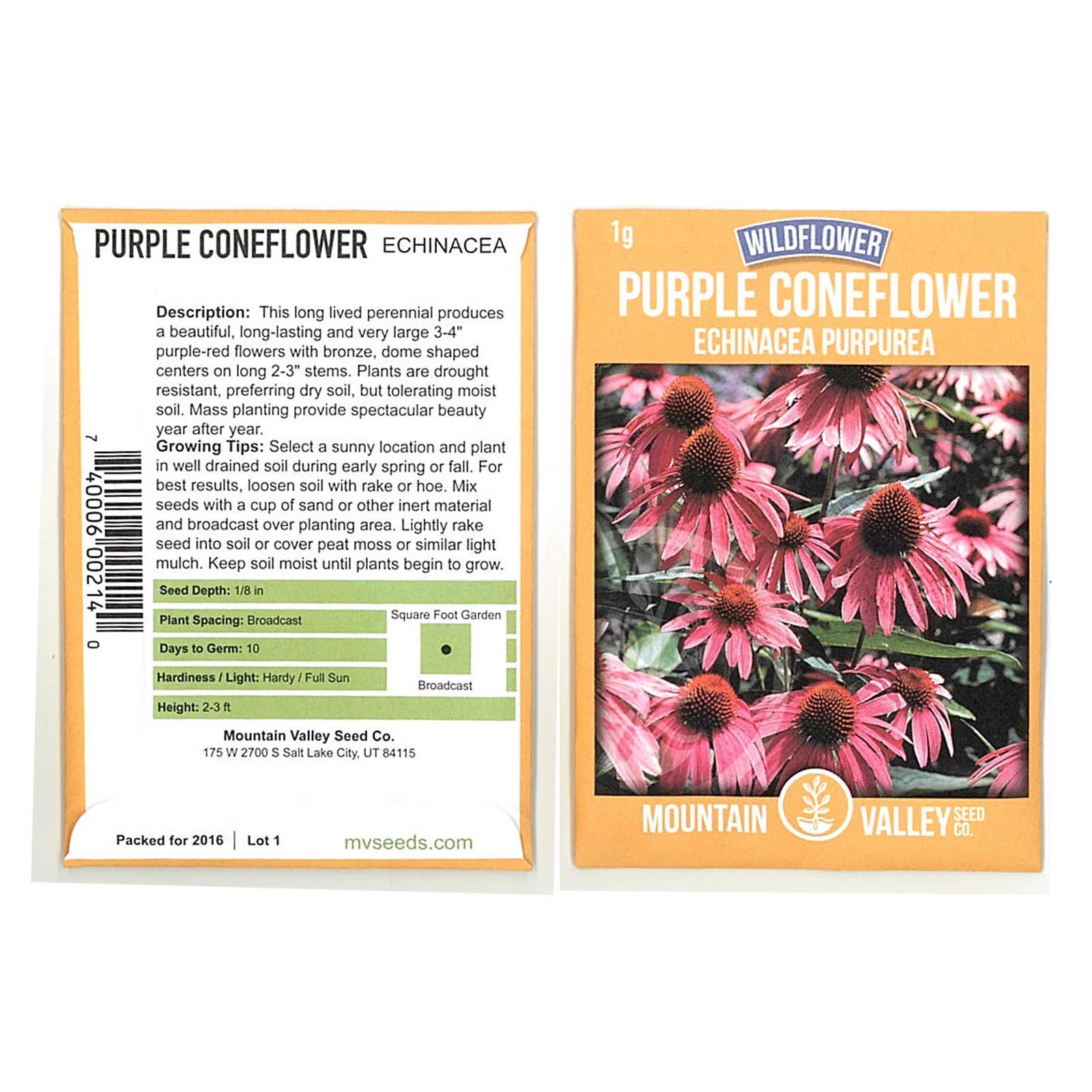 purple coneflower seeds purple coneflower seeds