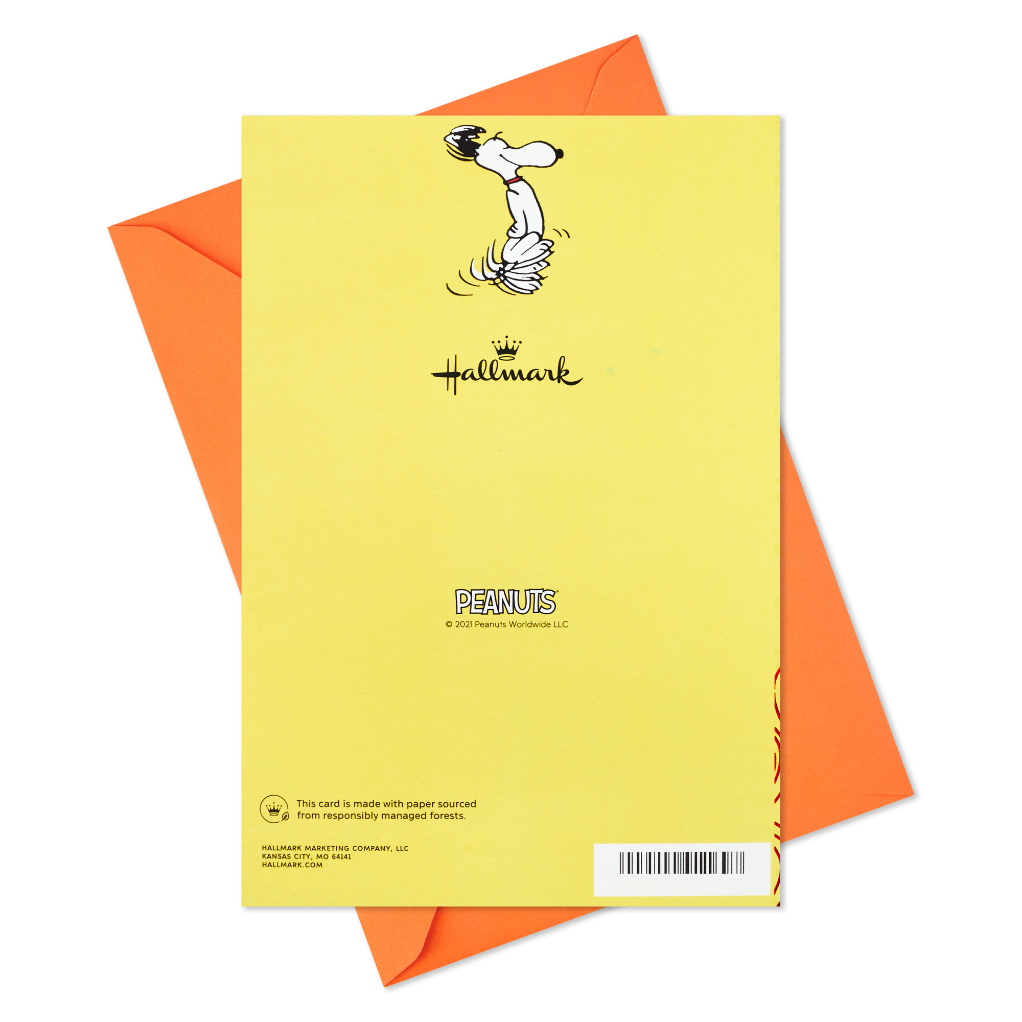 Hallmark Peanuts Pop-Up Birthday Card (Snoopy Put the Happy in My Dance)