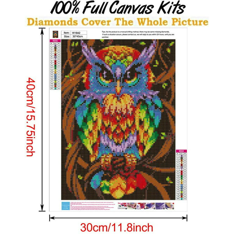 5D Adult Diamond Painting, Cute Owl with Coloured Diamonds Diamond Painting  Kits, Suitbale for Beginners and Children Handmade DIY Holiday Gift or