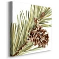 thumbnail image 3 of Simple Pine Cone I- Gallery Wrapped Canvas, 3 of 9