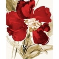 thumbnail image 2 of Loreth, Lanie 20x24 Black Ornate Wood Framed with Double Matting Museum Art Print Titled - Bright Red Bloom II, 2 of 4