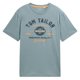 thumbnail image 1 of TOM TAILOR Camiseta para hombre - Camiseta con logotipo, cuello redondo, corte regular, algodón, estampado Verde menta M (Medium), 1 of 6