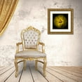 thumbnail image 3 of Carson, Brian 15x15 Gold Ornate Wood Framed with Double Matting Museum Art Print Titled - Yellow Chrysanthemum, 3 of 4