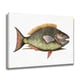 thumbnail image 2 of Póster de lienzo con pintura de peces, decoración de dormitorio, paisaje deportivo, decoración de oficina, regalo, estilo marco, 16 x 24 pulgadas (40 x 60 cm), 2 of 8