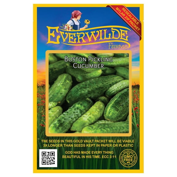 Everwilde Farms - 100 Boston Pickling Cucumber Seeds - Gold Vault Jumbo Bulk Seed Packet