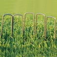 thumbnail image 4 of 100PCS U Agrafes de Jardin en Acier Réutilisables Clous de Jardin Robustes, 4 of 7