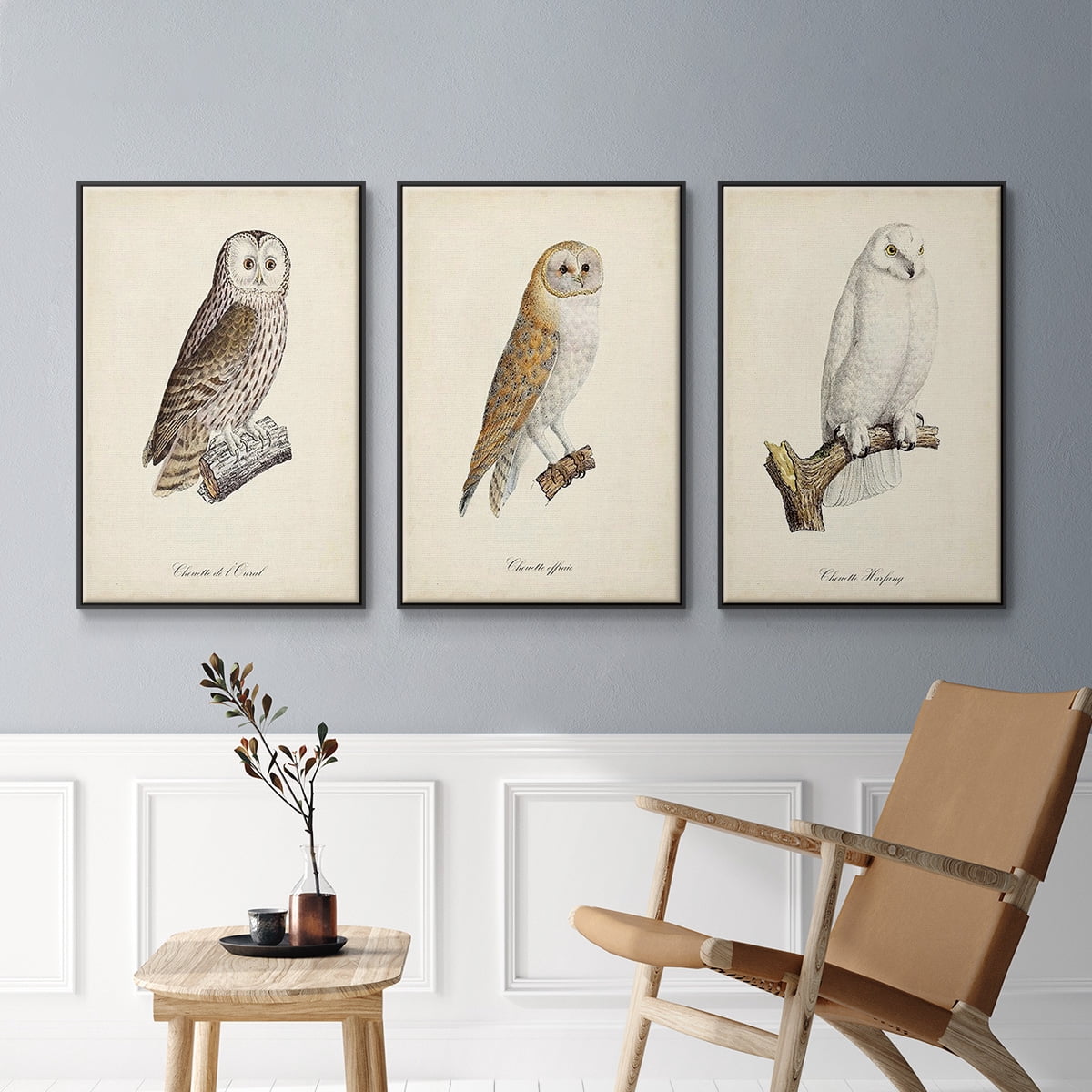 French Owls IV - Framed Premium Gallery Wrapped Canvas L Frame 3 Piece Set - Ready to Hang