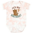 thumbnail image 3 of Inktastic Cute Teddy Bear 1st Birthday Celebration Boys or Girls Baby Bodysuit, 3 of 5