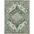thumbnail image 4 of BERTHMEER Vintage 3'x5' Area Rugs Small Green Carpets for Bathroom Bedroom Entryway Kitchen Rugs Non Slip Washable Traditional Office Dorm Entrance Oriental Distressed Throw Rugs, 4 of 4