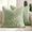 Green, variant on RuWeoMaa Beige Throw Pillow Covers 18x18 Inch Set of 2,Furry Faux Fur Teddy Boucle Textured Cushion Covers,Soft Fluffy Decorative Pillow Case,Home Decor for Couch Bed Living Room Office Car