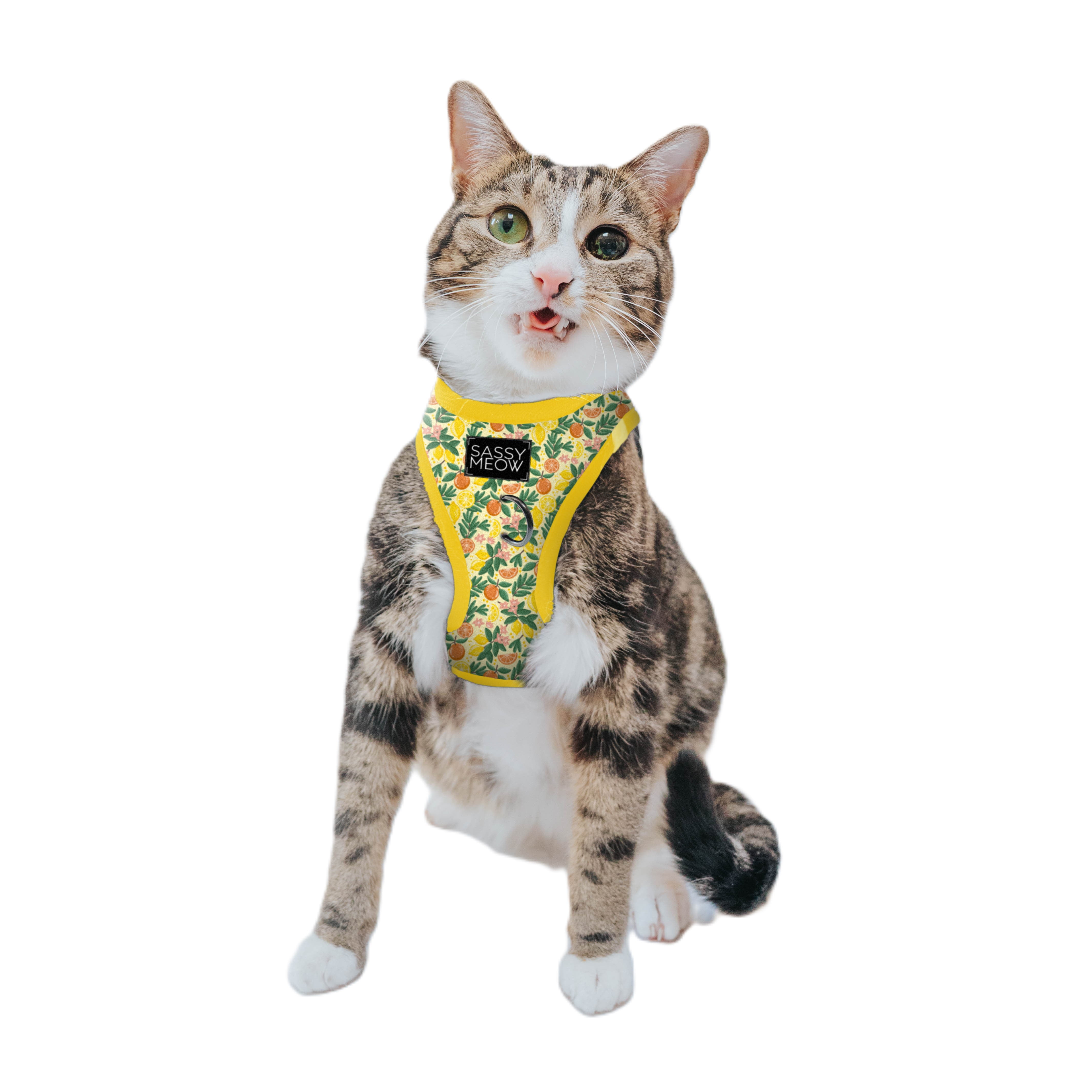 Sassy Meow Cat Step-In Harness Extra Small - Hello Kitty Pink