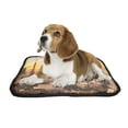 thumbnail image 2 of PKQWTM View of Tokyo Skyline Sunset Japan Cityscape Pet Dog Cat Bed Pee Pads Mat Cushion Potty Dogsblankets Crate Bed Kennel 28x36 inch, 2 of 3