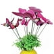 thumbnail image 3 of 12 Piezas Adornos de Jardín de Mariposas Perfecl Decoración de Patio Suministros de Mariposas Decorativos, 3 of 7