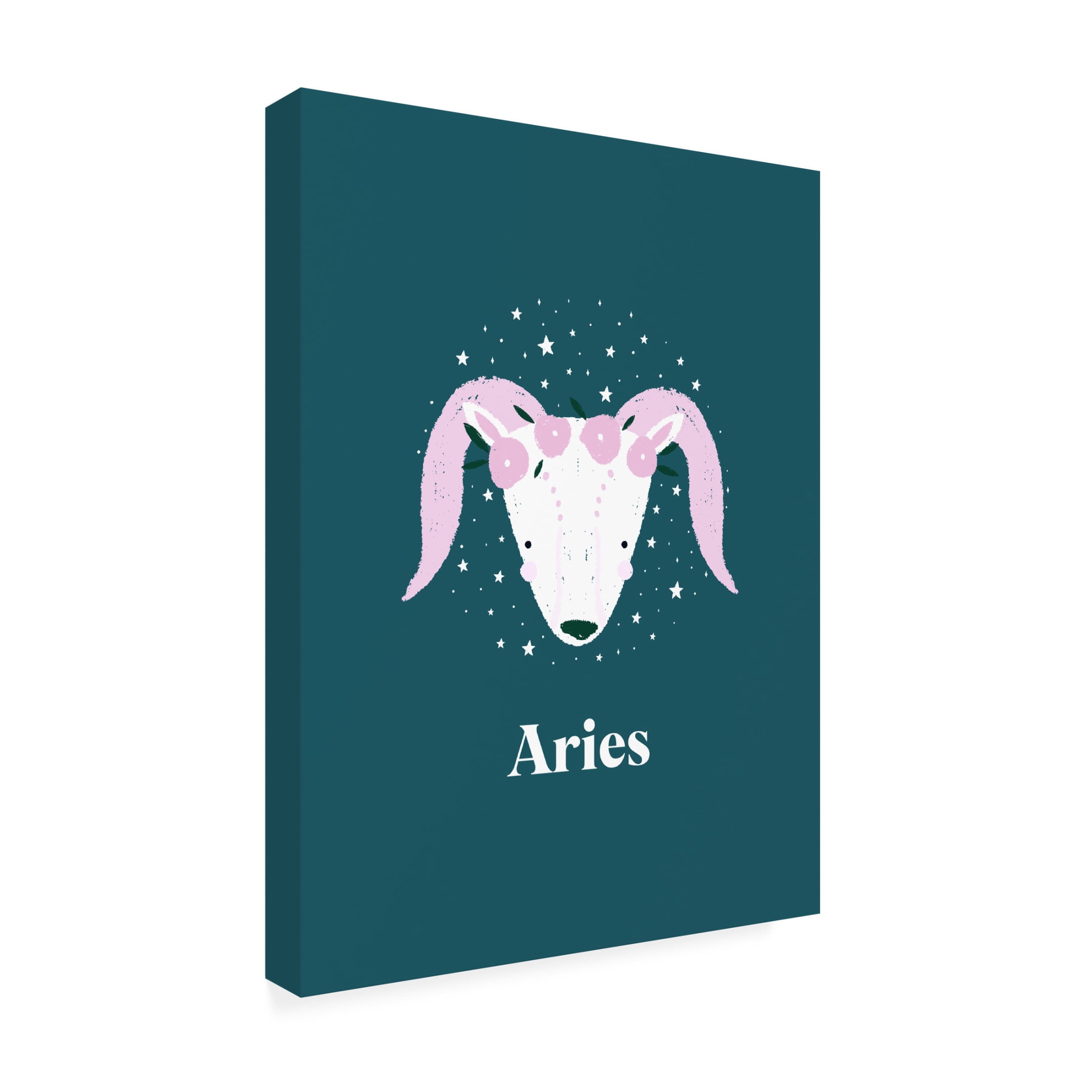 Trademark Fine Art Aislinn Simmonds Aries Canvas Wall Art