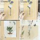 thumbnail image 5 of 120 Marcapáginas de Flores Secas Transparentes, Marcapáginas de Flores Prensadas Hechas A Mano, Clips de Página de Flores Transparentes, Marcapáginas DIY, 5 of 5