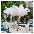 thumbnail image 3 of 10Pcs/lots Colored Ostrich Feathers 15-35cm for Wedding Party Decor DIY Handicraft Accessories Table Centerpieces, 3 of 7