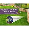 thumbnail image 3 of Cestas para plantas VOLE KING Gopher Vole, 1 litro, paquete de 4 unidades, de acero inoxidable, 3 of 9