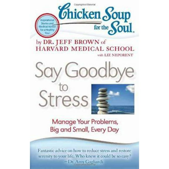 Pre-Owned Chicken Soup for the Soul: Say Goodbye to Stress: Manage Your Problems, Big and Small, Every Day (Paperback) 1935096885 9781935096887