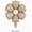Q, variant on 7 Packs of Smiling Face Sunflower Balloons - Cheerful Daisy Party Decorations for Birthdays and Celebrations