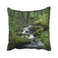 thumbnail image 1 of RYLABLUE Green Forest Cascade Falls Over Mossy Rocks Waterfall Water Stream River Tree Rain Pillowcase Pillow Cushion Cover 18x18 inches, 1 of 1