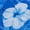 BLUE FLORAL LEAFS, variant on HAPPY BAY Men's Hawaiian Shirt Fashion Button Down Short Sleeves Holidays Aloha Party Casual Tops Summer Beaches Shirts for Men S Blue Floral