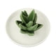 thumbnail image 1 of Bandeja decorativa de cerámica con forma de aloe para joyas, aretes, collares y pulseras. Estilo 2, 1 of 9