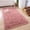 Blush, variant on Soft Area Rugs for Bedroom Living Room Plush Fluffy Rug 5x8 Feet, Shag Furry Area Rug Carpet Non Shedding for Nursery Children Kids Girls Room Home Decorative, Grey