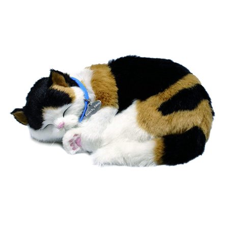 Calico Cat Toy