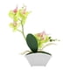 thumbnail image 1 of Maceta decorativa con forma de mariposa y orquídea artificial para decoración del hogar, 1 of 8