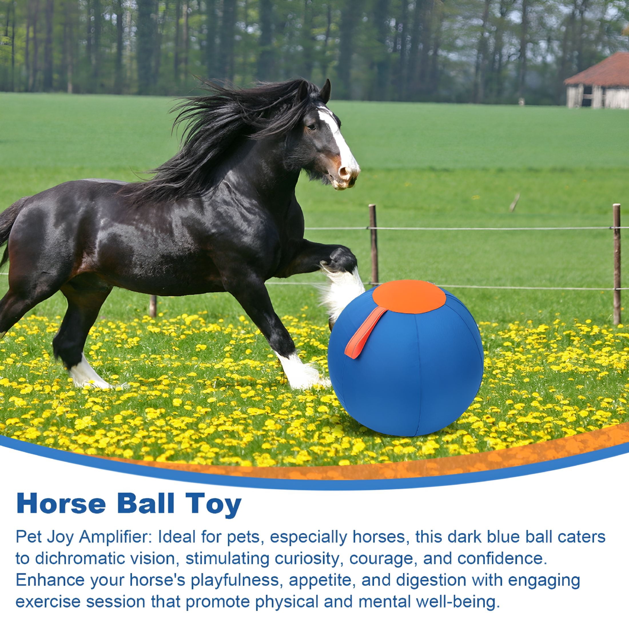 BESTSKY 2026 New Herding Dog Balls Horse Ball Toy Thickened Anti-Burst Ball Scratch-Resistant Training Ball Stimulates Senses Confidence Toy for Horses Cattle Dogs Blue