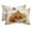 Beige, Pumpkin Spice, Sage, Oatmeal, variant on Thanksgiving Turkey Outdoor Pillows for Chaise Lounge Chair Beach Headrest Pillow Set of 2 Waterproof Lumbar Pillows with Insert&Adjustable Strap Fall Harvest Pumpkins Sunflowers Pool Pillow 12"x20"