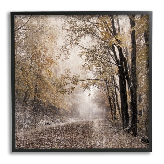 Stupell Sunlit Woodland Nature Trail Landscape Photography Black Framed Art Print Wall Art