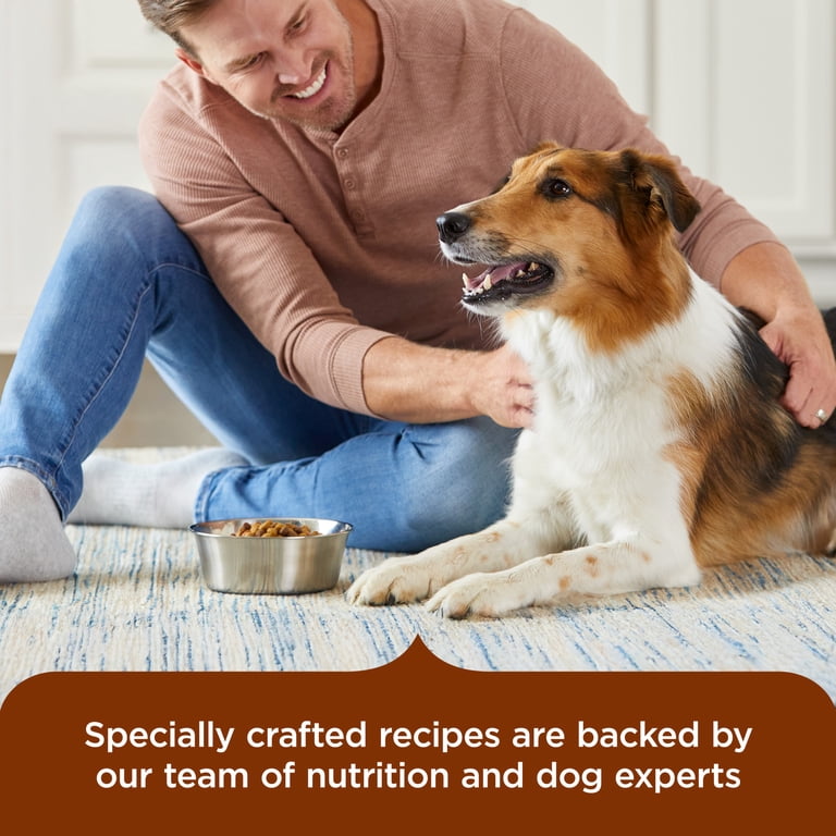 Healthy Weight Wet Dog Food, Turkey & Pumpkin, 12-Pack photo 6