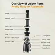ORFELD Juicer Machine for Fruits and Vegetables, Easy Clean Masticating Cold Press Juicer Maker & Extractor