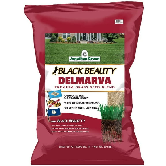 Jonathan Green 10393 Black Beauty Delmarva Grass Seed Mix Made for Maryland, Delaware, Virginia - Cool Season Lawn Seed 50 lb.