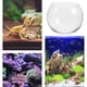 thumbnail image 3 of Tazón transparente jarrón de vidrio vaso burbuja tazón jarrón redondo plantador de pescado de terrario, 3 of 7