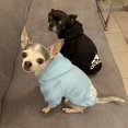 thumbnail image 3 of 2021 Winter Pet Dog Clothes - Cozy Fleece Hoodies for Dogs ShopWise Round, 3 of 8