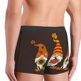 thumbnail image 5 of Disketp Fall Gnomes Men'S Boxer Briefs,Soft And Breathable Cotton Underwear With Comfortflex Waistband, 5 of 9
