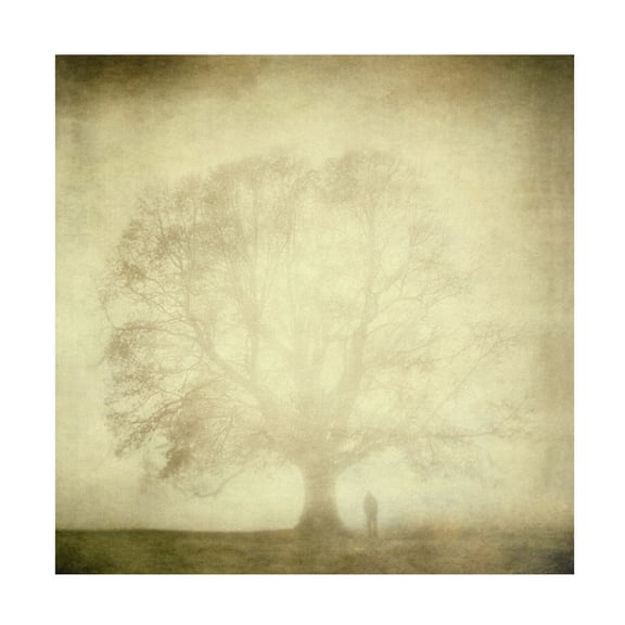 Canvas Wall Art - Katarina Holmstrom 'Trees 3' Wall Art for Living Room, Bedroom, or Office Décor by Trademark Fine Art - 14 x 14 Inches