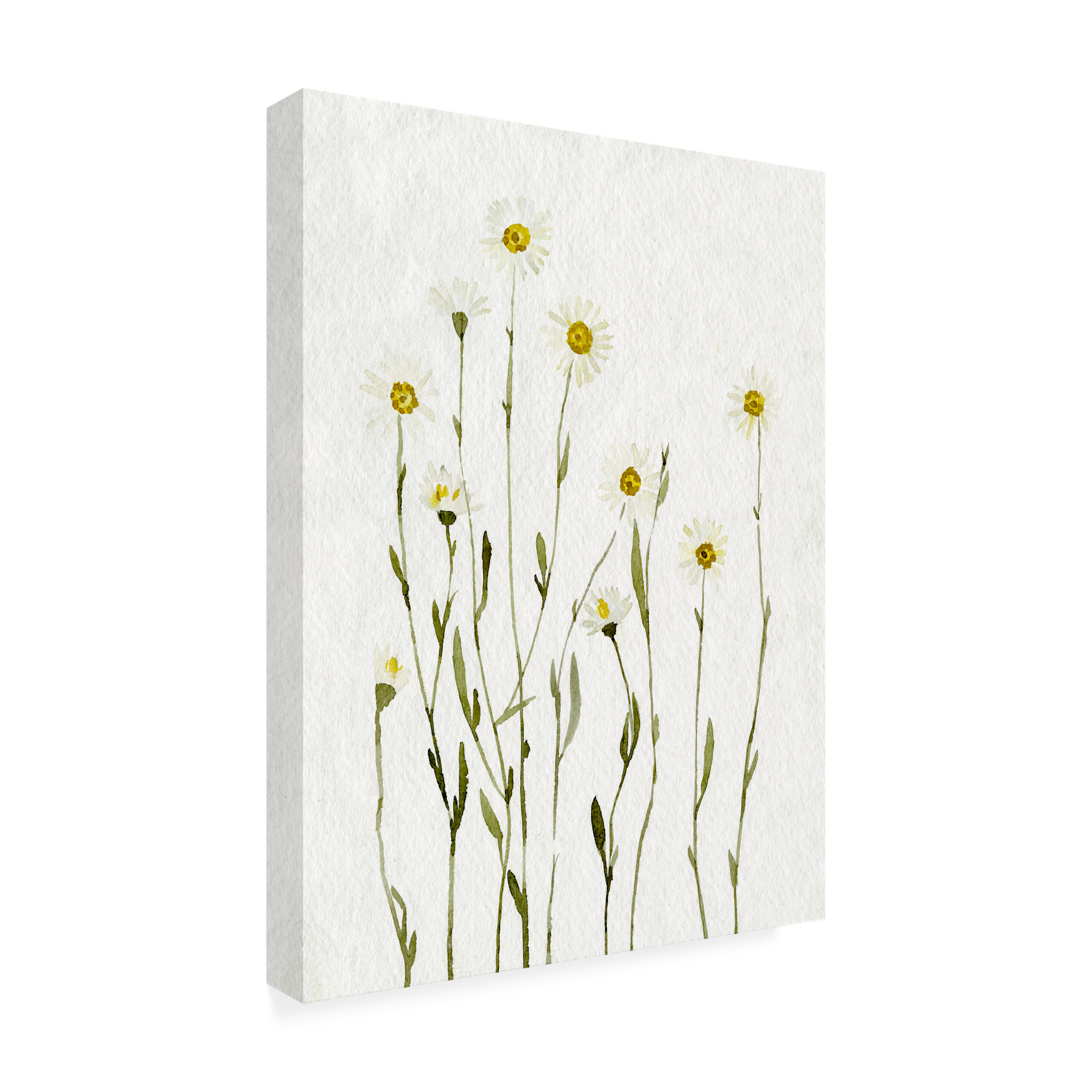 Emma Caroline 'White Antique Daisies I' Canvas Art